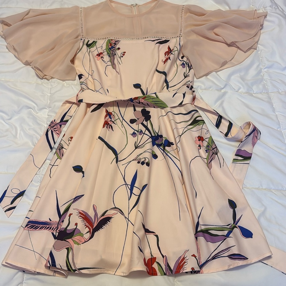 BY EGREIS Pink Blush Floral Pleated Mini Dress Sheer Flutter Sleeves Size Small
